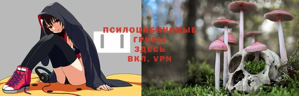 мескалин Медногорск