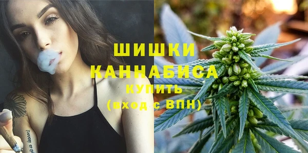 шишки Орск